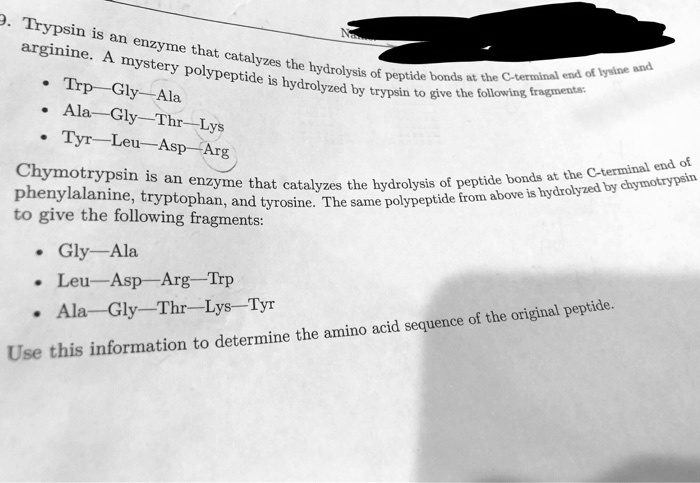 SOLVED Trypsin Is An Arginine Enzyme That Mystery Catalyzes The