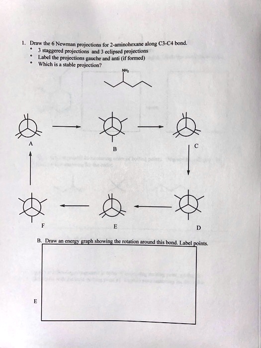 Solved Draw Athe Neuman Projcctions For Aminohexane Along C C Bond