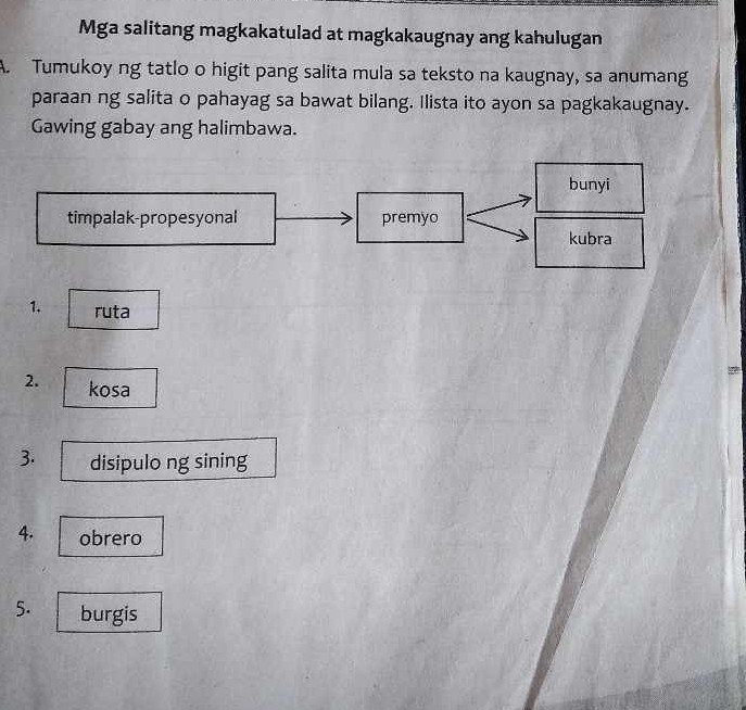 SOLVED Mga Salitang Magkakatulad At Magkakaugnay Ang Kahulugan Tumukoy