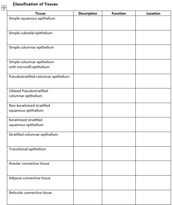 Solved Text Please Fill In The Table Thank You Classification Of