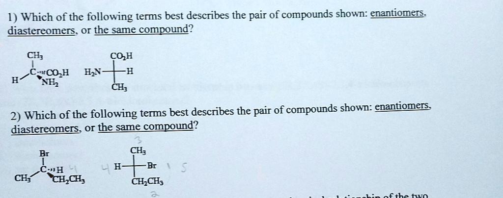 Solved Which Of The Following Terms Best Describes The Pair Of