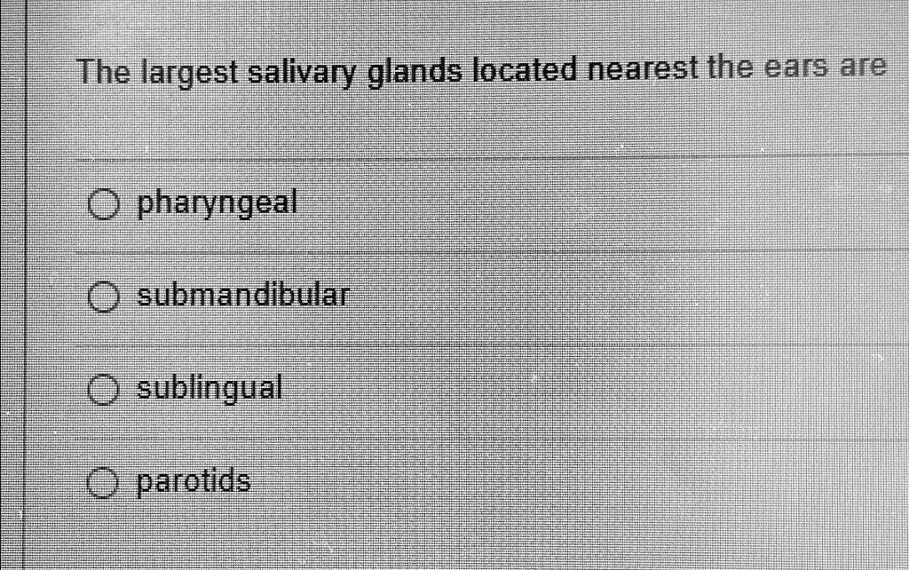 SOLVED The Largest Salivary Glands Located Nearest The Ears Are