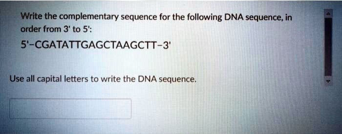 SOLVED Write The Complementary Sequence For The Following DNA Sequence