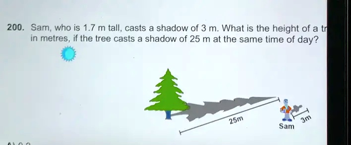 Sam Who Is M Tall Casts A Shadow Of M What Is The Height Of A