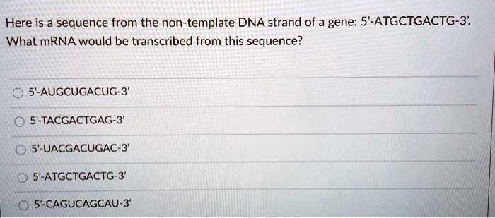 Solved Here Is A Sequence From The Non Template Dna Strand Of A Gene