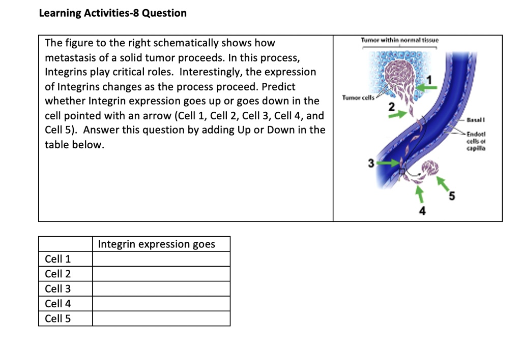 Solved Learning Activities Question The Figure To The Right