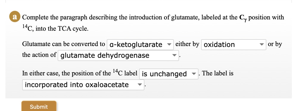 Solved A Complete The Paragraph Describing The Introduction Of