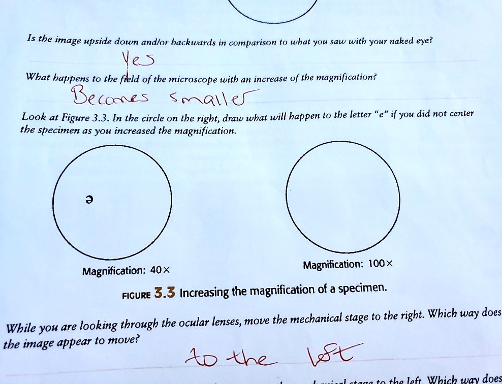 SOLVED Is The Image Upside Down And Or Backwards In Comparison To What