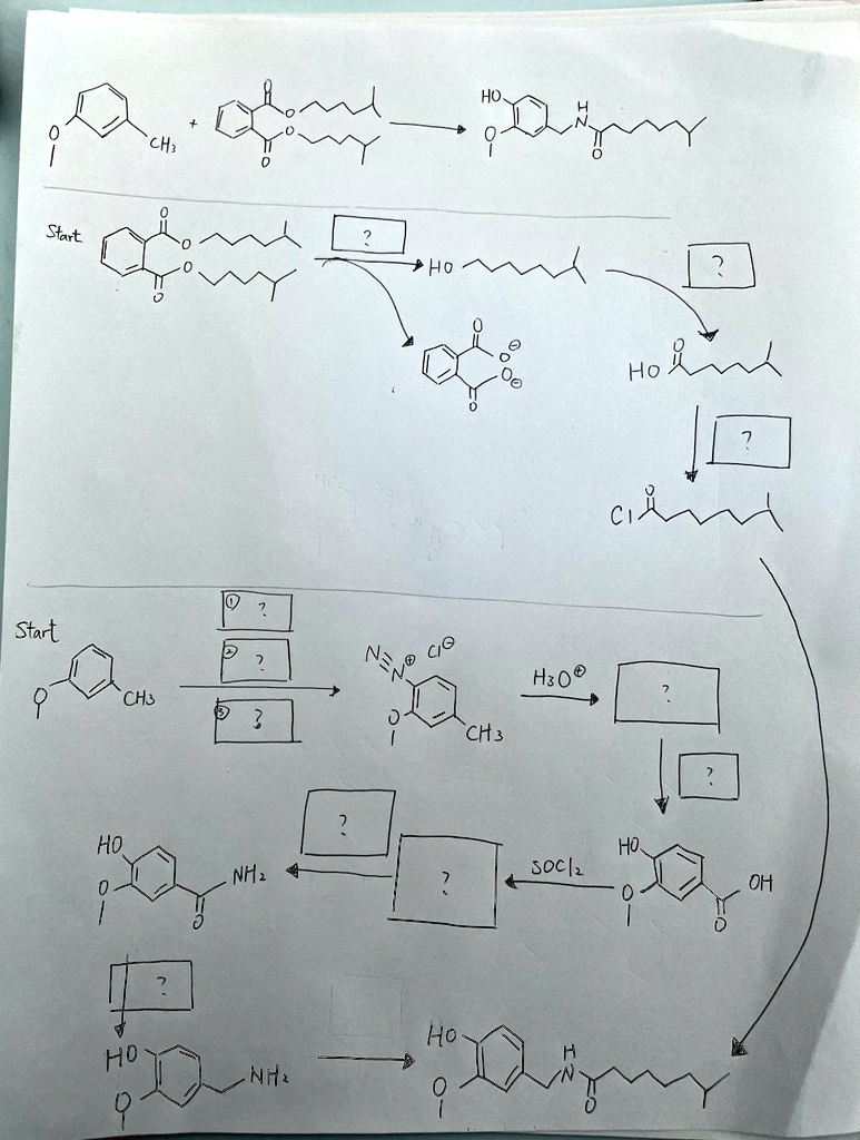 Solved Provide A Synthesis For The Following Reaction By Completing