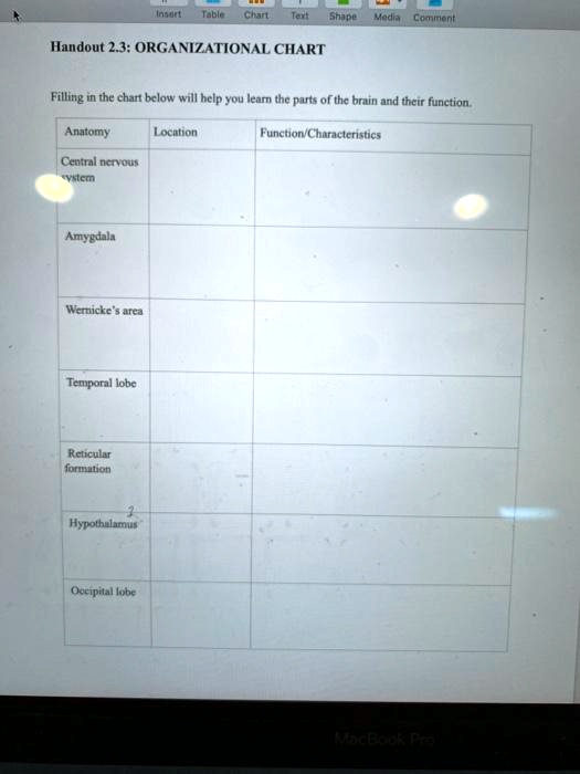 Solved Insert Table Chart Media Comment Handout Organizational