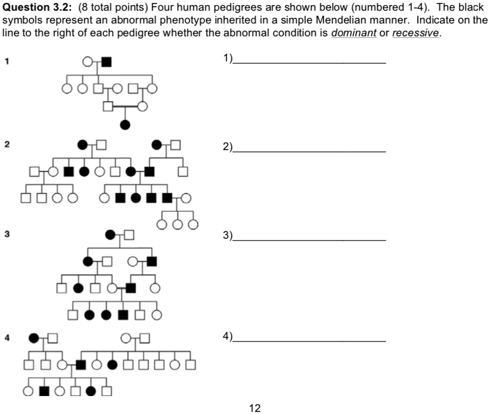 Solved Question Total Points Four Human Pedigrees Are Shown