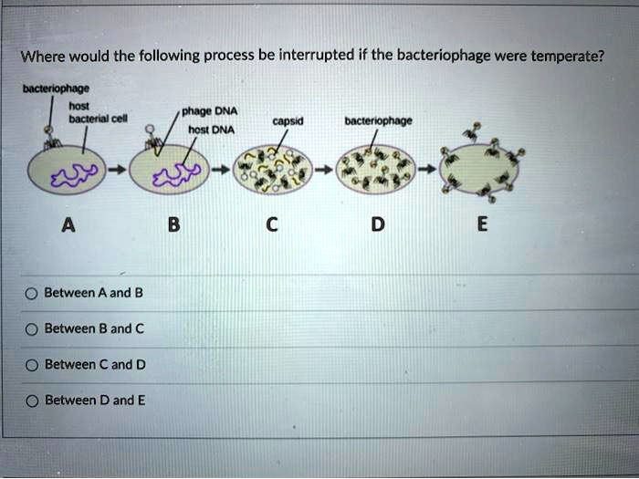 SOLVED Where Would The Following Process Be Interrupted If The