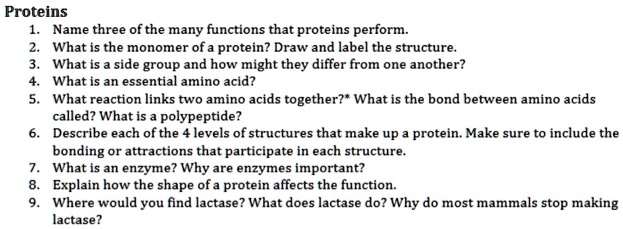 Solved Proteins Name Three Of The Many Functions That Proteins Perform