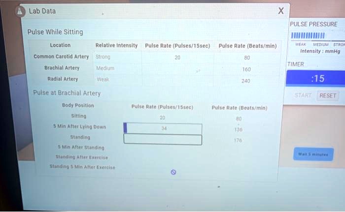 Lab Data X Pulse Pressure Pulse While Sitting Location Relative