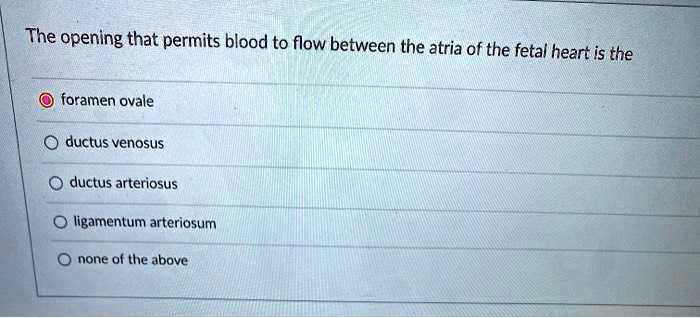 SOLVED The Opening That Permits Blood To Flow Between The Atria Of The