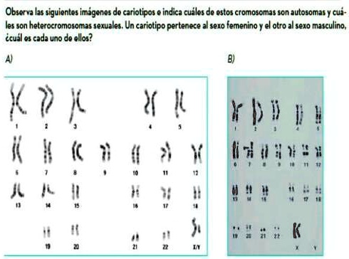 Solved Por Favor Lo Necesito Observa Las Siguientes Imagenes De