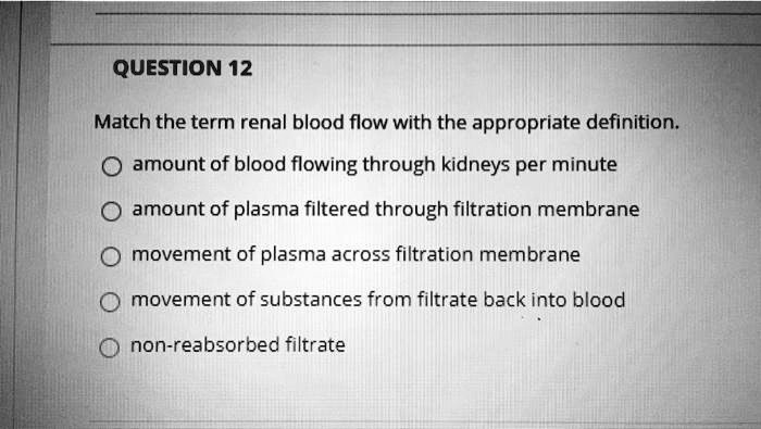 Solved Question Match The Term Renal Blood Flow With The