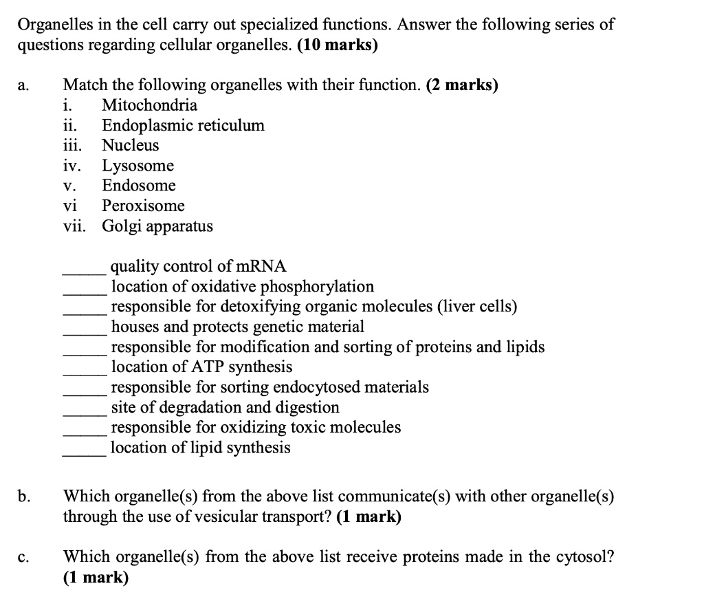 SOLVED Organelles In The Cell Carry Out Specialized Functions Answer