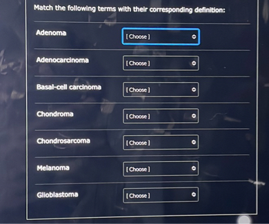 SOLVED Match The Following Terms With Their Corresponding Definition