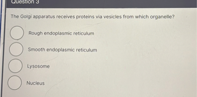 SOLVED Question 3 The Golgi Apparatus Receives Proteins Via Vesicles