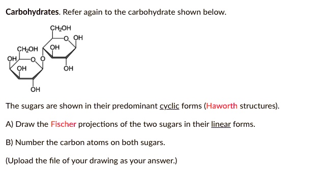 SOLVED Carbohydrates Refer Again To The Carbohydrate Shown Below