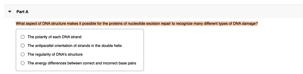 Solved Part A What Aspect Of Dna Structure Makes Possible For The