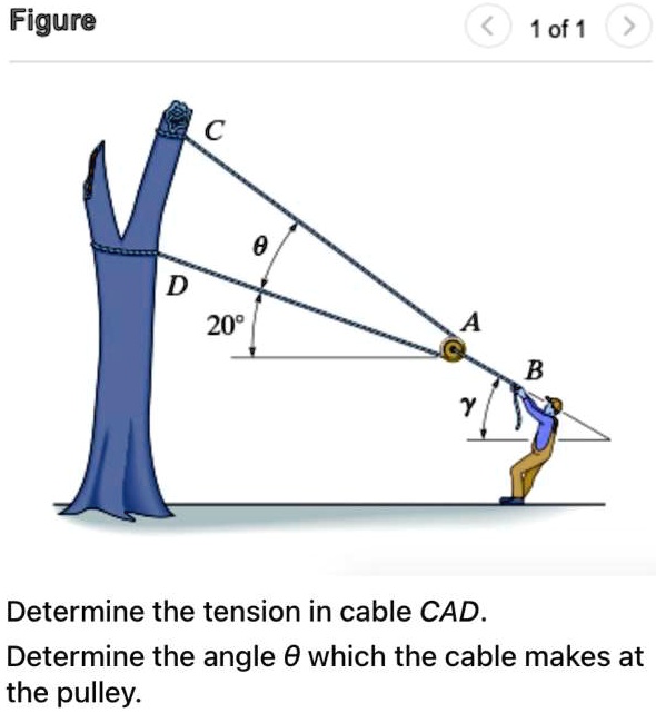 Solved The Man Attempts To Pull Down The Tree Using The Cable And