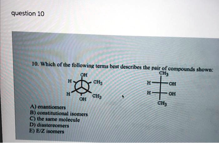 SOLVED Question 10 10 Which Of The Following Terms Best Describes The