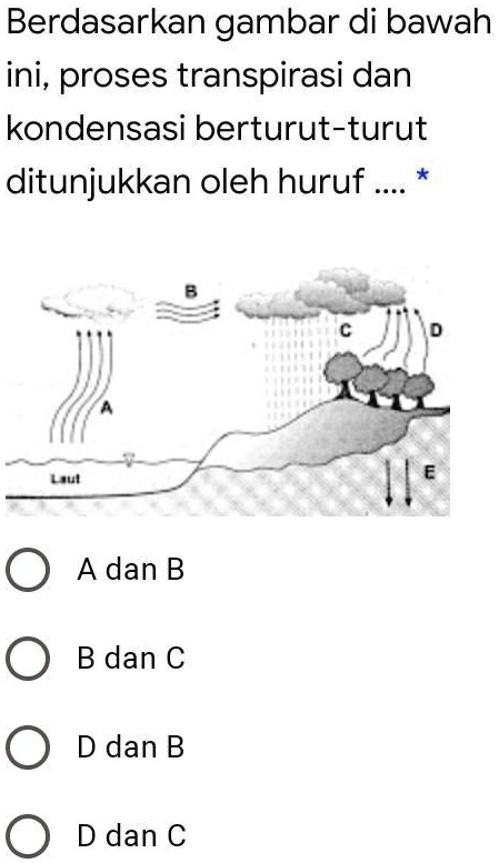 SOLVED Assalamu Alaikum Bantu Dungs Mapel IPAkelas 7Bpoin 10