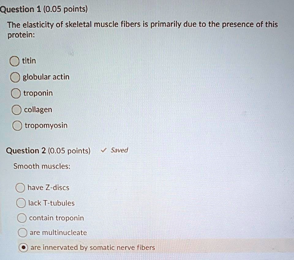 SOLVED Question 1 0 05 Points The Elasticity Of Skeletal Muscle