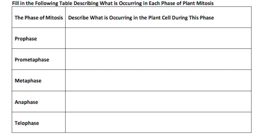 SOLVED Fillin The Following Table Describing What Is Occurring In Each