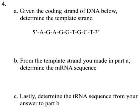 Solved Given The Coding Strand Of Dna Below Determine The Template