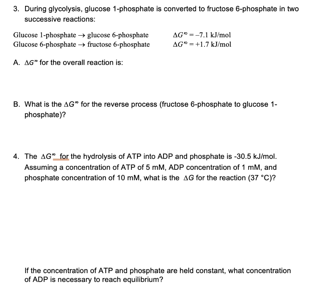 SOLVED 3 During Glycolysis Glucose 1 Phosphate Is Converted To