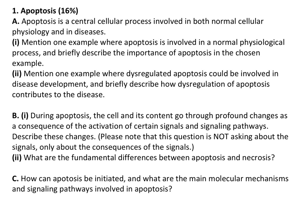 SOLVED 1 Apoptosis 16 A Apoptosis Is A Central Cellular Process