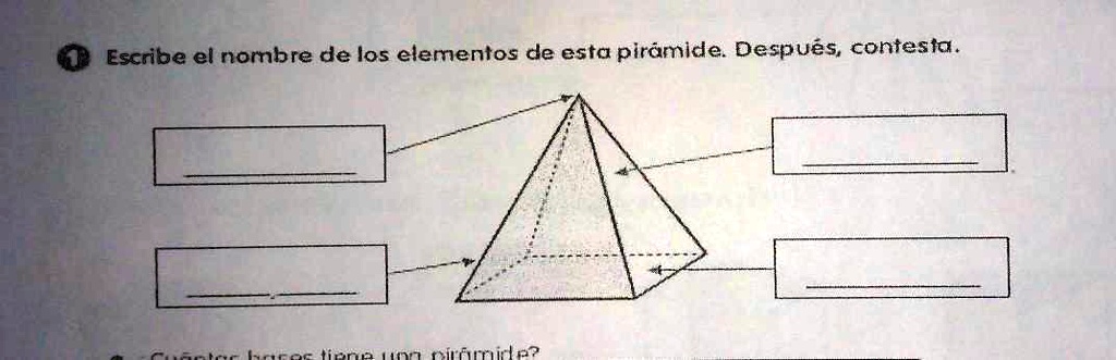 SOLVED escribe el nombre de los elementos de esta pirámide Escribe el