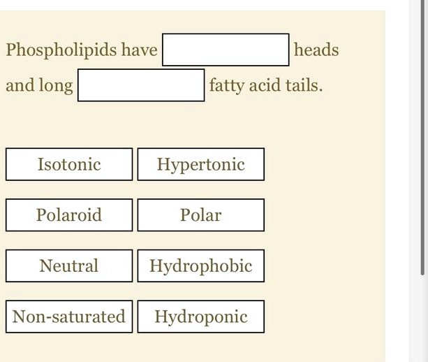 SOLVED Phospholipids Have And Long Heads Fatty Acid Tails Isotonic