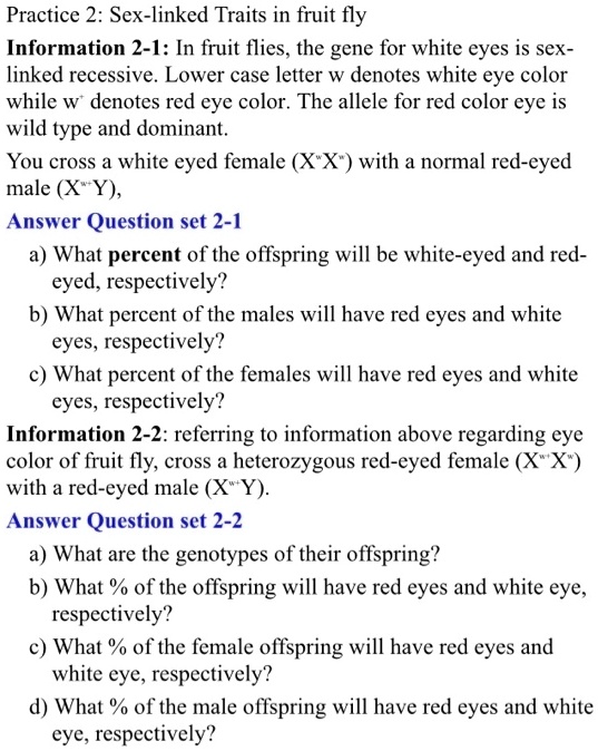SOLVED Practice 2 Sex Linked Traits In Fruit Fly Information 2 I In