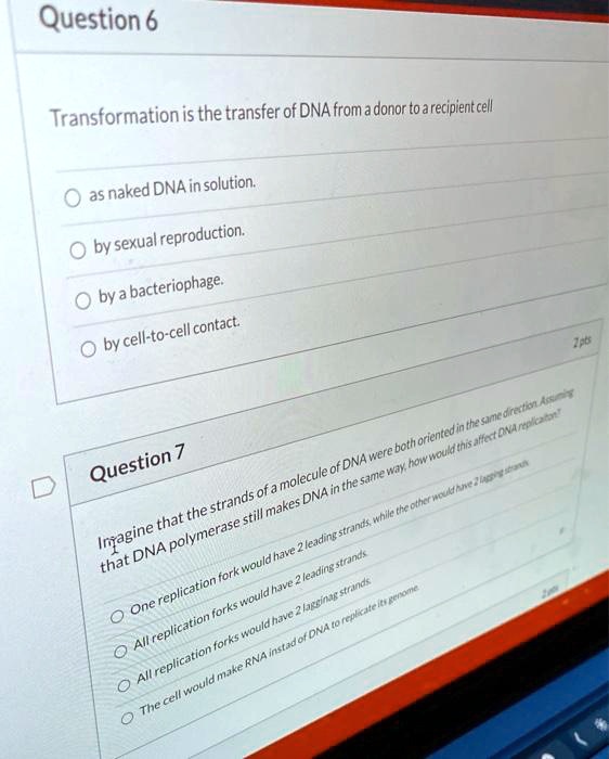 Solved Question Transformation Is The Transfer Of Dna From Donor To