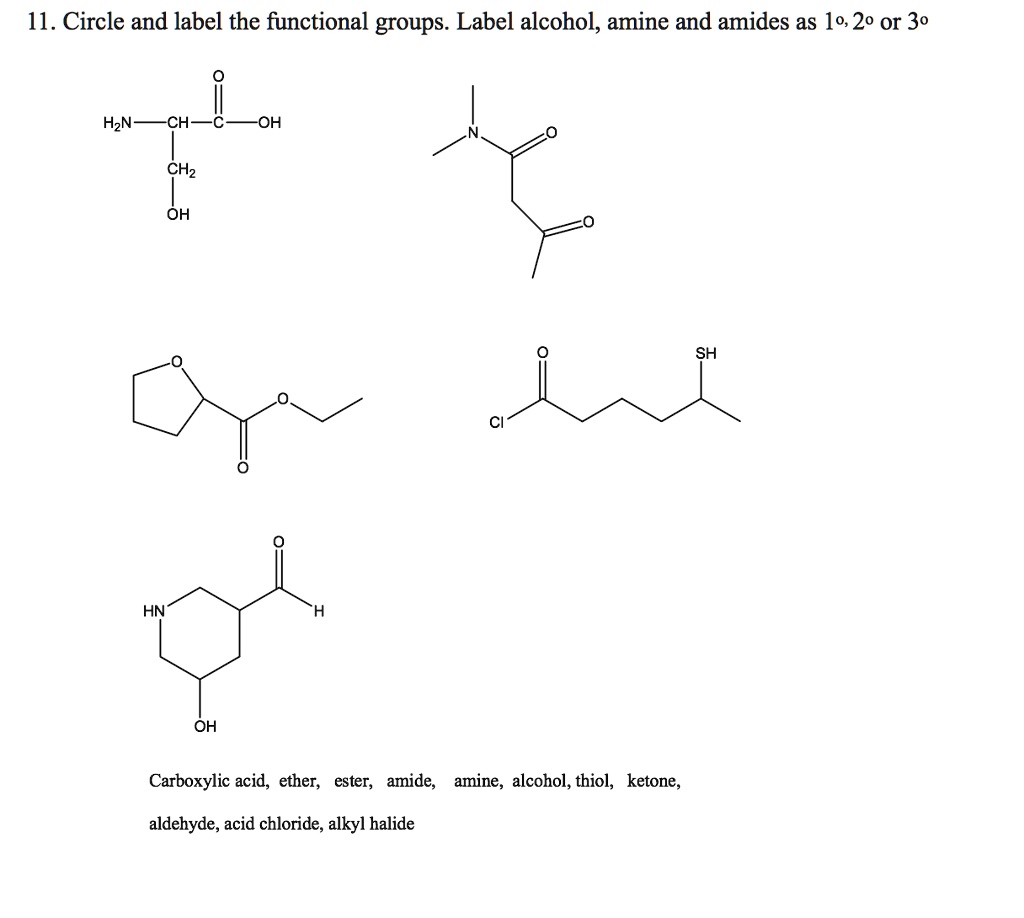 Solved Circle And Label The Functional Groups Label Alcohol