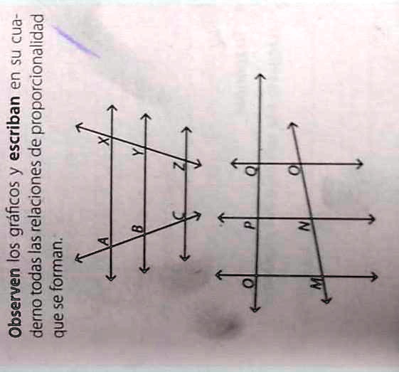 SOLVED Observen los gráficos y escriban en su cuaderno todas las