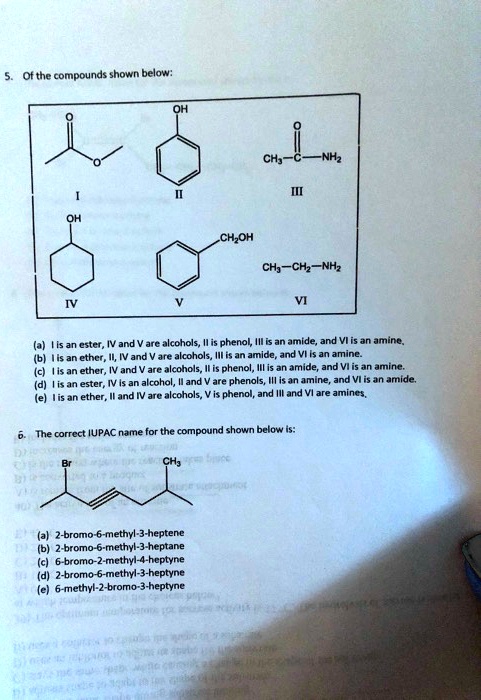 Solved Of The Compounds Shown Below Chj Chzoh Ch Chz Nhz Cstet And