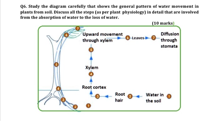 Solved Q Study The Diagram Carefully That Shows The General Pattern