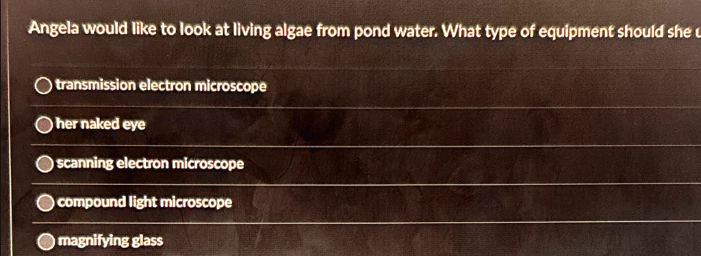 SOLVED Angela Would Like To Look At Living Algae From Pond Water What