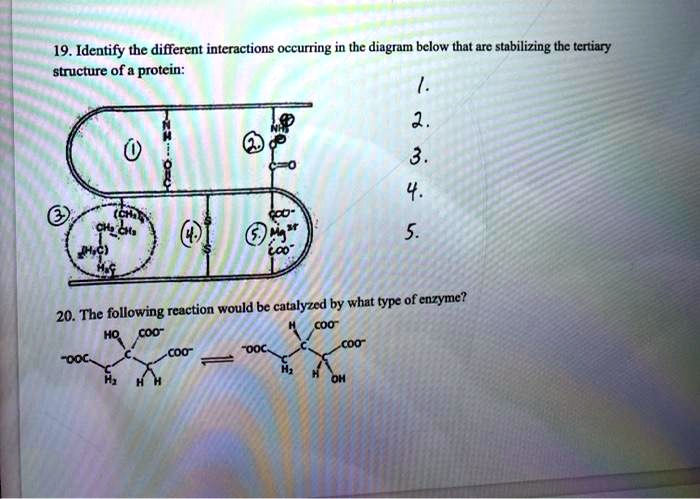 Solved Identify The Different Interactions Occurring In The