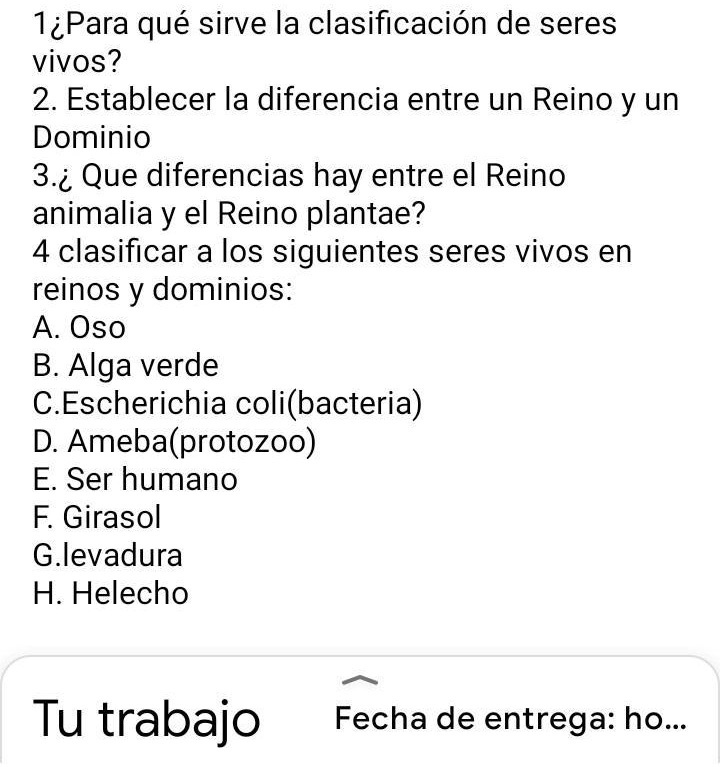 SOLVED ayuda por favorrrrr 1iPara qué sirve la clasificación de seres