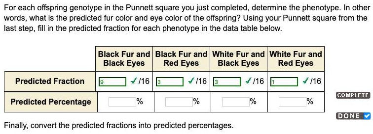 Determining Eye Color Punnett Square Infoupdate Org