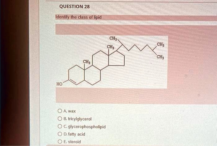 Solved Question Identify The Class Of Lipid Ch Ch Ch Ch Ch Ho A