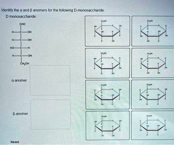 Solved Identify The And Anomers For The Following D