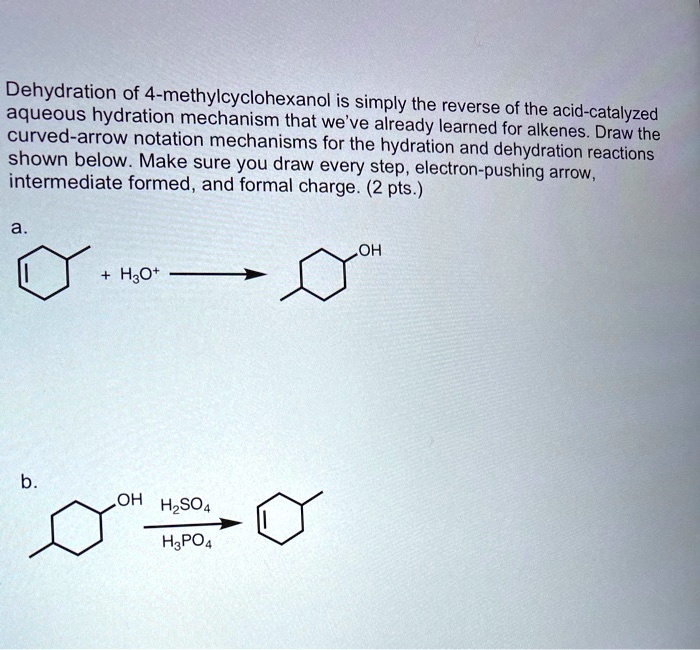 Solved Dehydration Of Methylcyclohexanol Is Simply The Reverse Of The