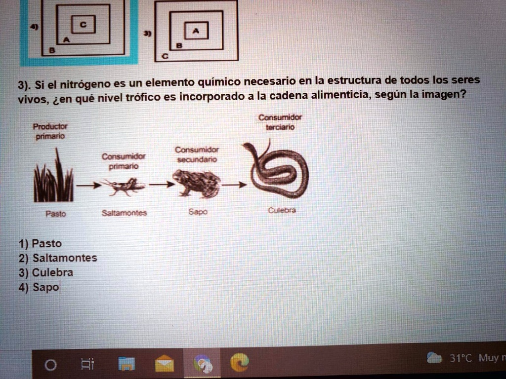 Solved Ayuda Por Fa Doy Corona Si El Nitr Geno Es Un Elemento